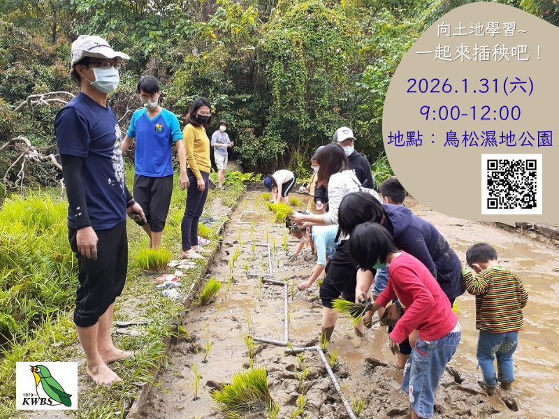 【鳥松濕地】里山農事體驗~親子插秧登場囉！